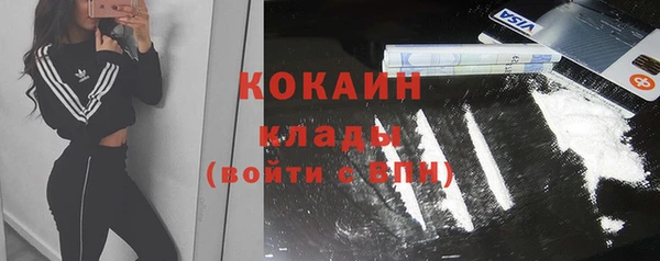 стаф Абинск