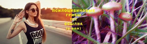 стаф Кулебаки