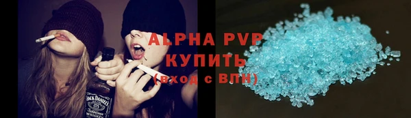 стаф Абинск