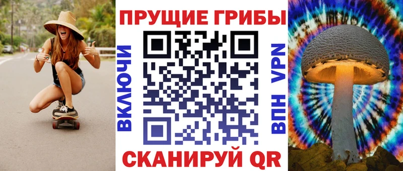 Псилоцибиновые грибы Psilocybe  Тулун 
