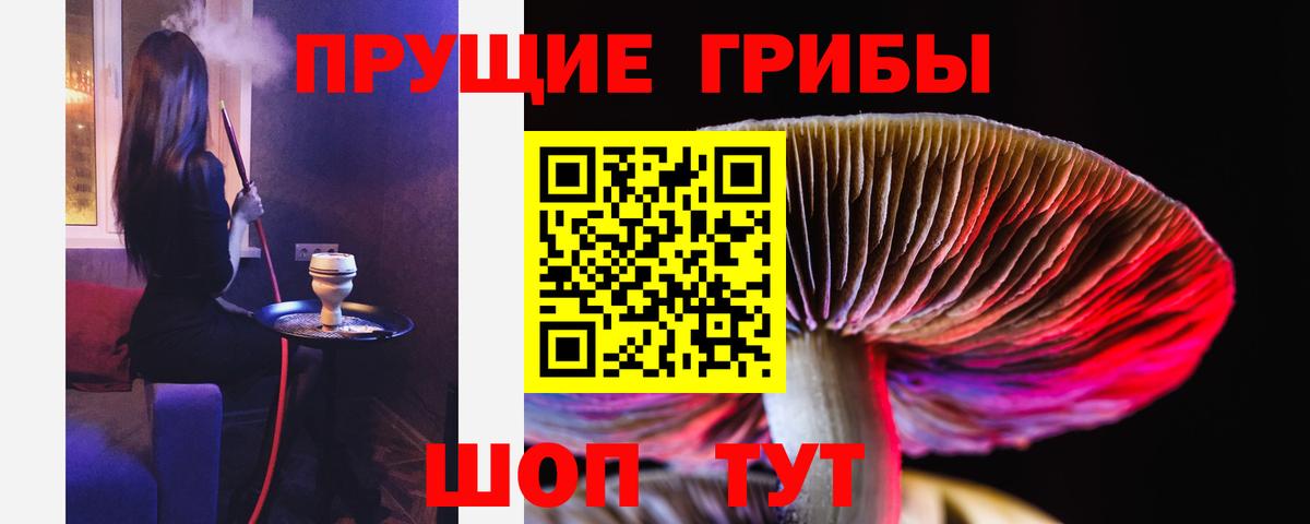 Галлюциногенные грибы Psilocybe Тулун